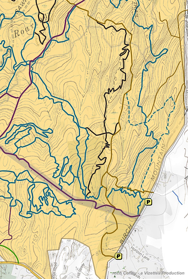 Birch Nountain South Topo