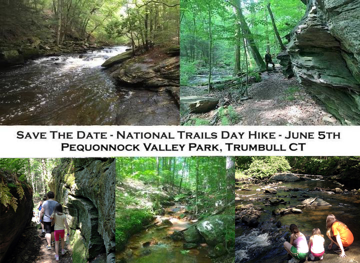 Scenic Hike 2021