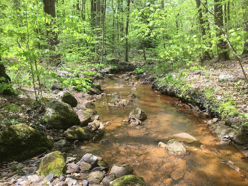 Copper Creek