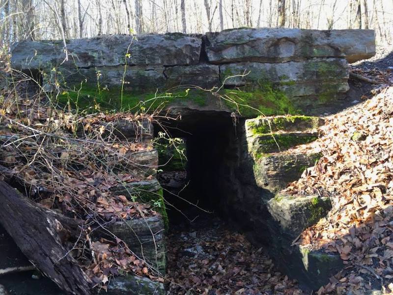 Cow Tunnel