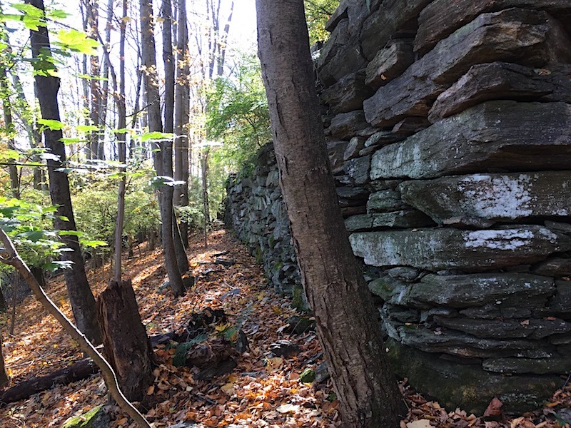 Ice House