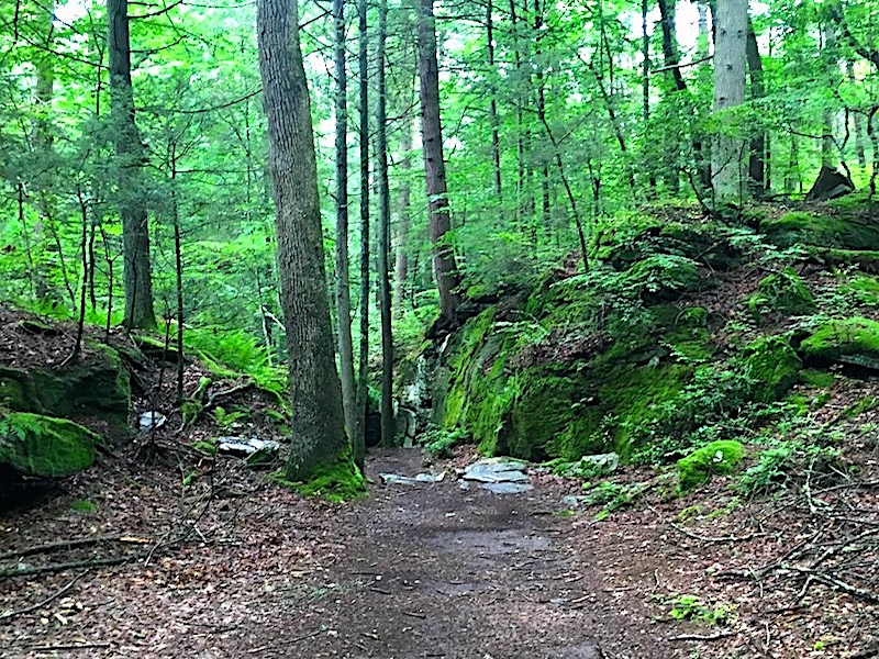Crevice Trail