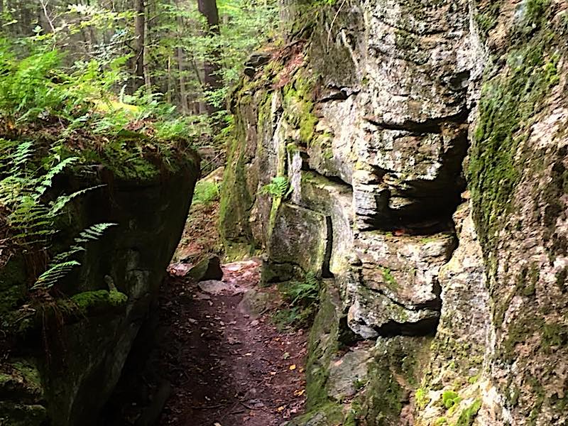 Crevice