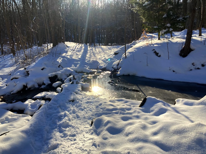Red Trail Snww Hike