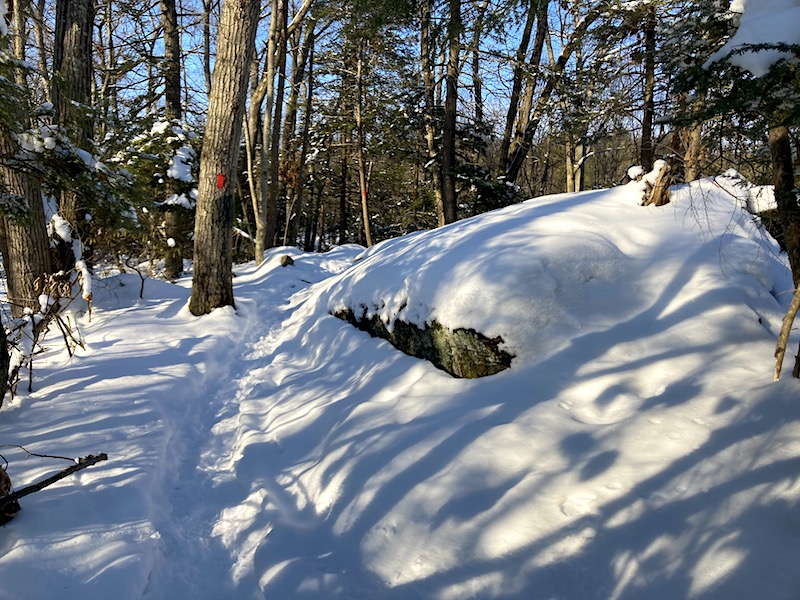 Red Trail Snww Hike