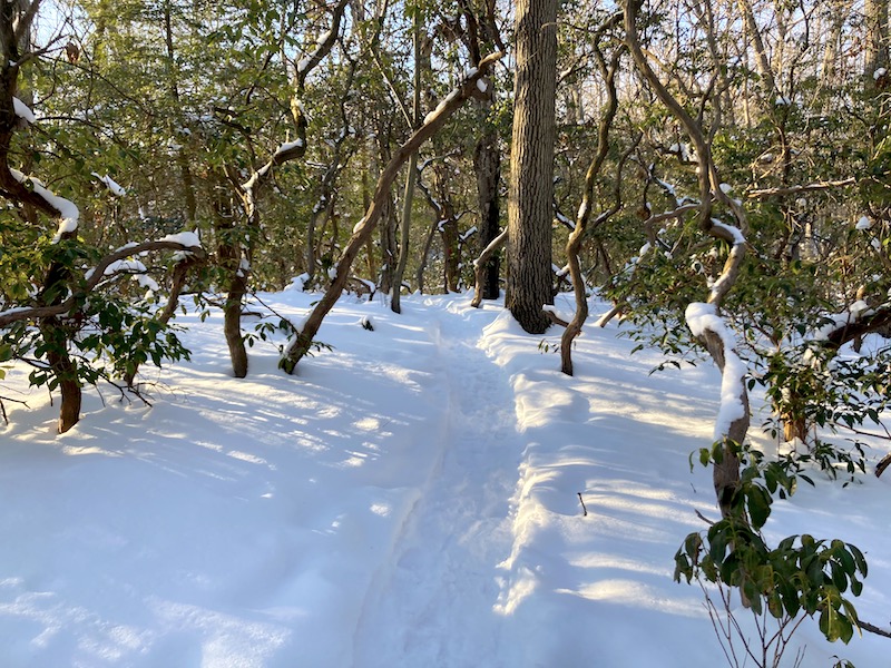 Red Trail Snww Hike