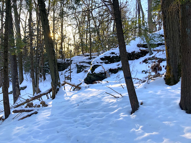 Red Trail Snww Hike