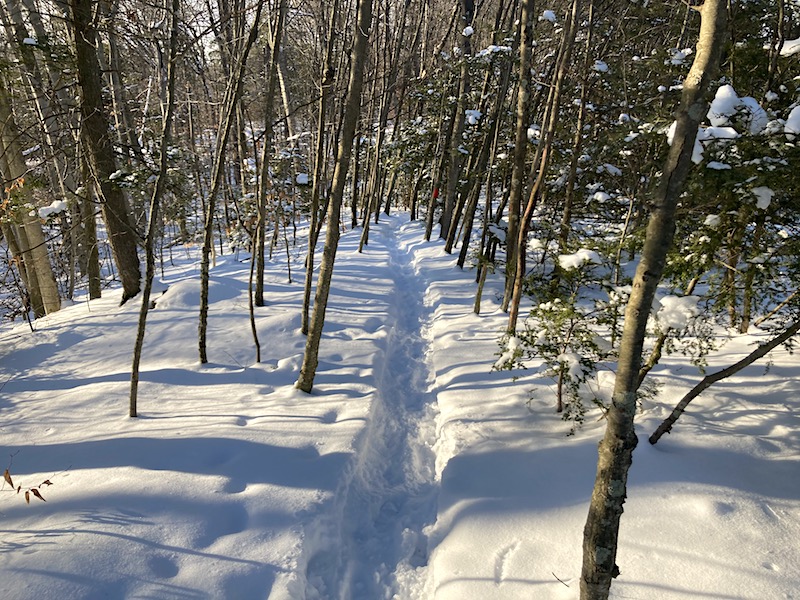 Red Trail Snww Hike