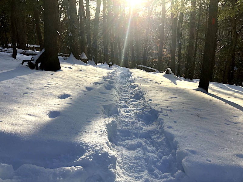 Red Trail Snww Hike