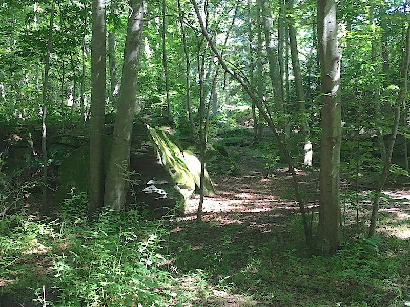 Crevice Trail