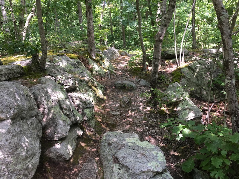 Rocks
