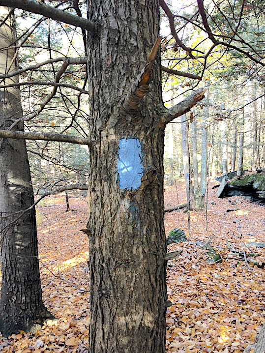 Blue Blaze Update