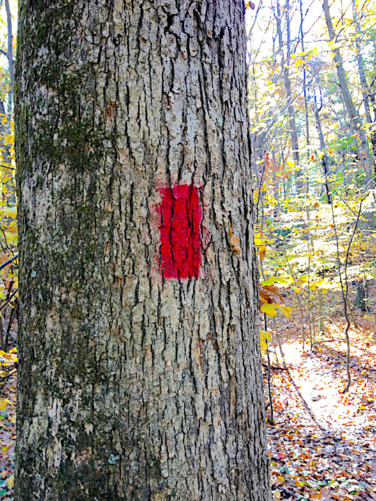 Red Blaze Update