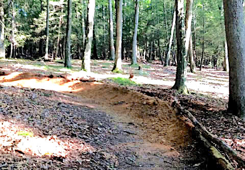 Building the Berm