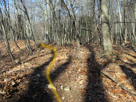 Lake Basin Side Rim Trail