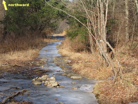 Ice Trail in Lake Basi