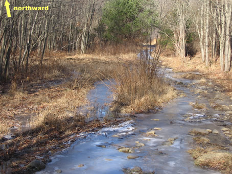 Ice Pond in Lake Basin
