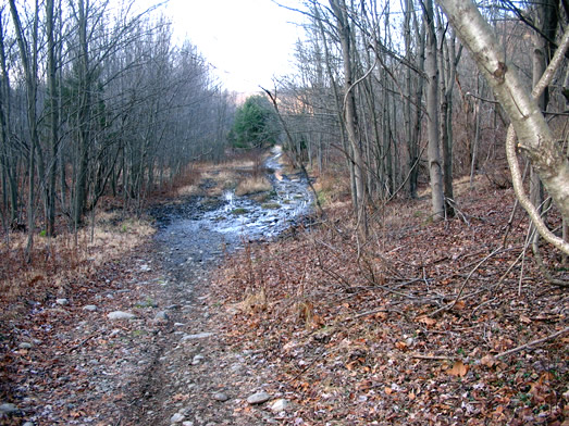 Mudhole - Looking North