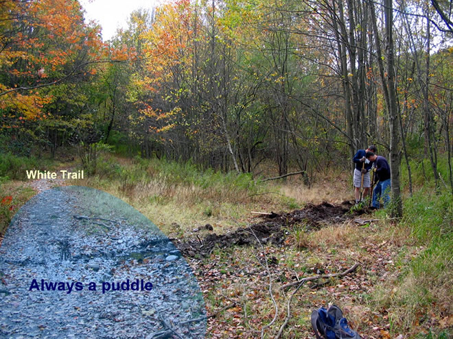 Steve and Robert Digging Trench