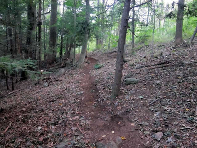 North Bridge Connector