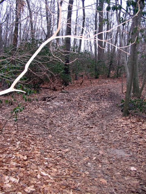 Wet Spot near Stun tPark