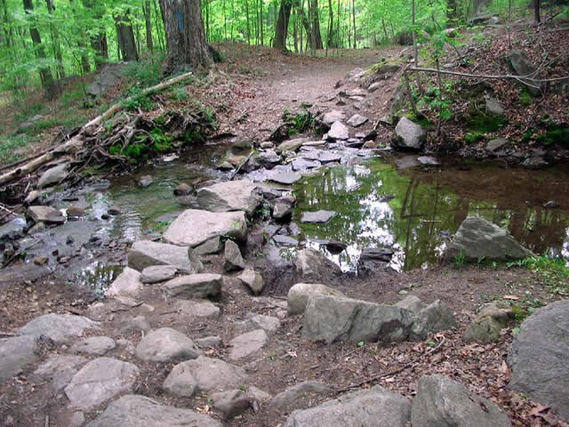 Stream Crossing