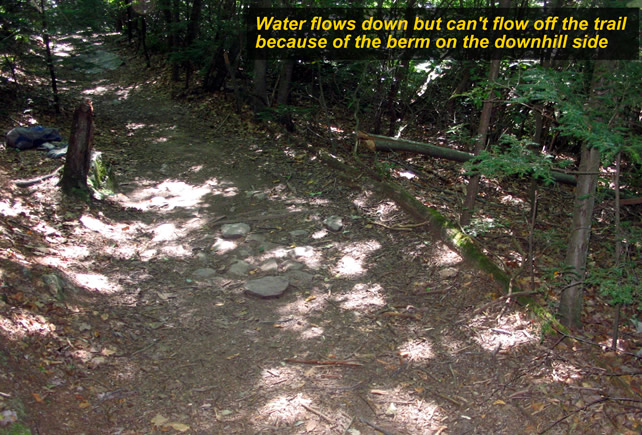 White Trail PreKnick