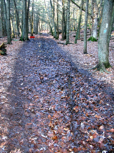 White Trail Mud