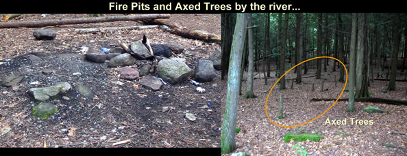 Fire PIts / Axed Trees