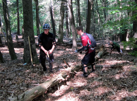 Freeriders Moving Deadfall