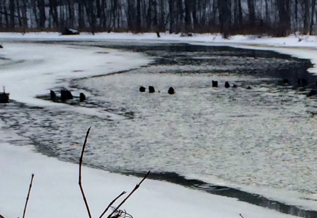 Poe Road Trestle Close Up