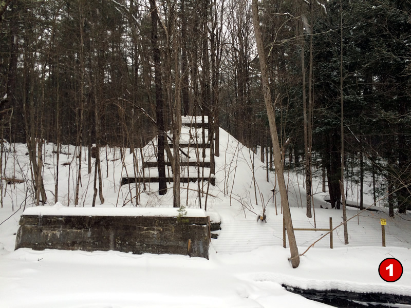Jackson Woods Trestle Remnants