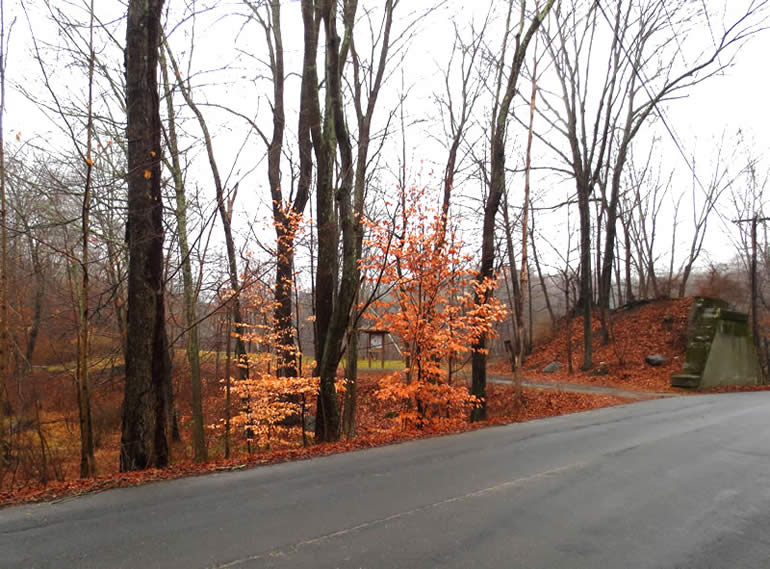 Cavanaugh Pond Embankment