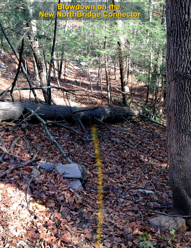 North Bridge Conector - Blowdown