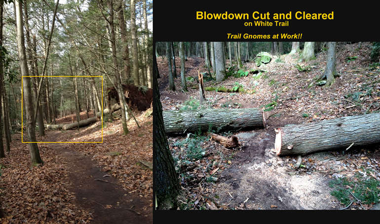 Big Blowdown Cleared - Trail Gnomes at Work...