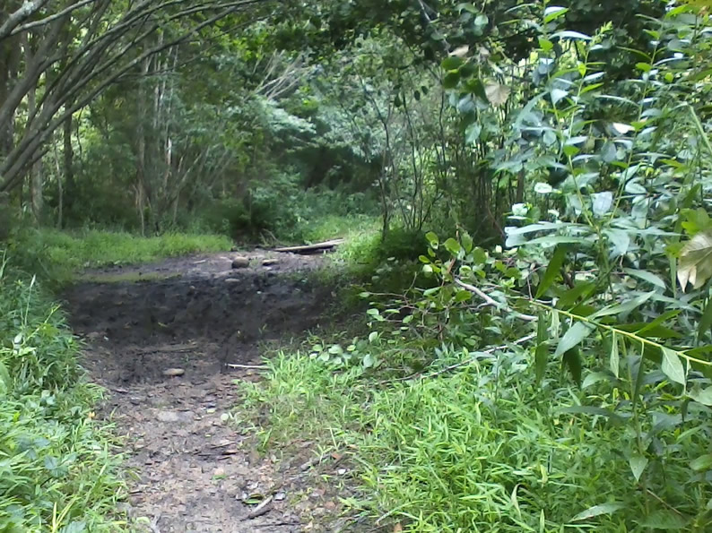 Mud Area Before - 2