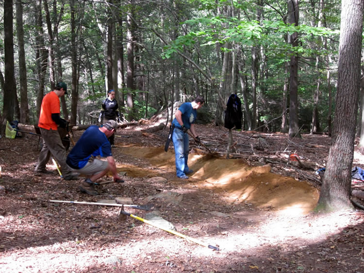 Sculpting The Berm